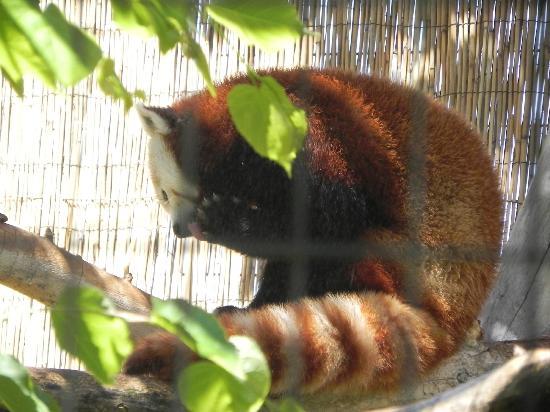 Idaho Falls Zoo at Tautphaus Park